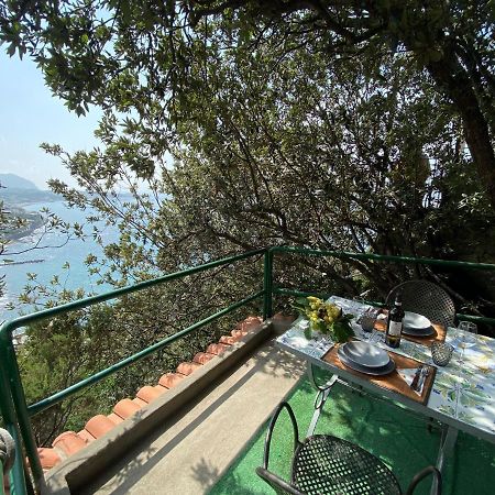 Le Dimore Di Zaro - Green Paradise Forio di Ischia 外观 照片