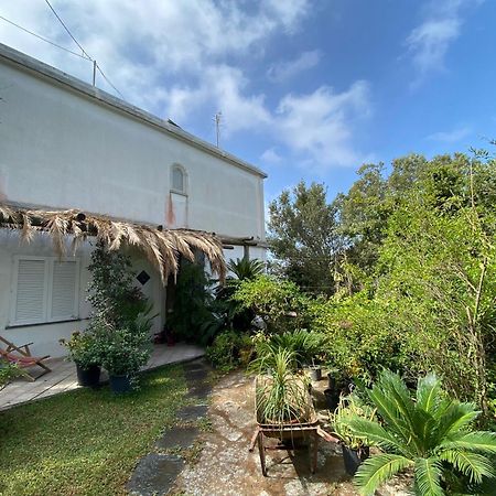 Le Dimore Di Zaro - Green Paradise Forio di Ischia 客房 照片