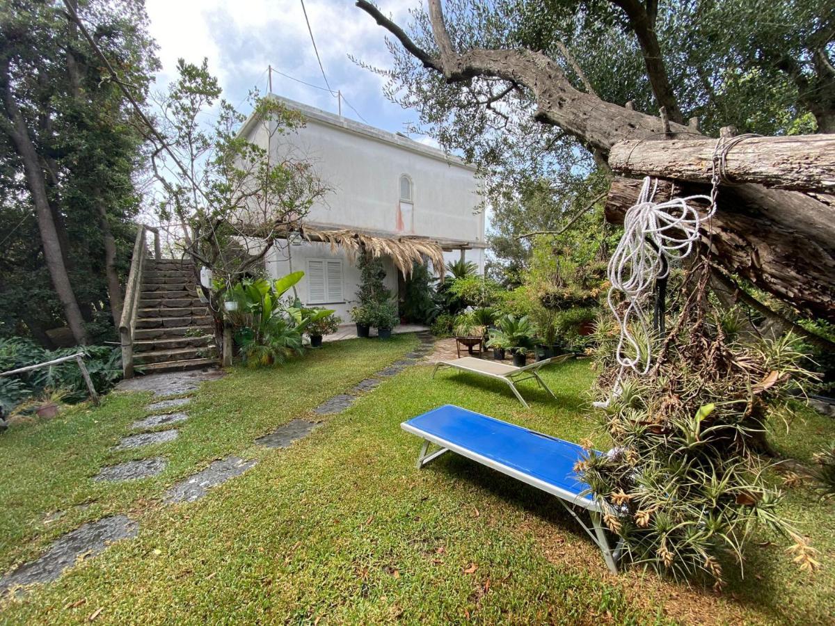 Le Dimore Di Zaro - Green Paradise Forio di Ischia 外观 照片