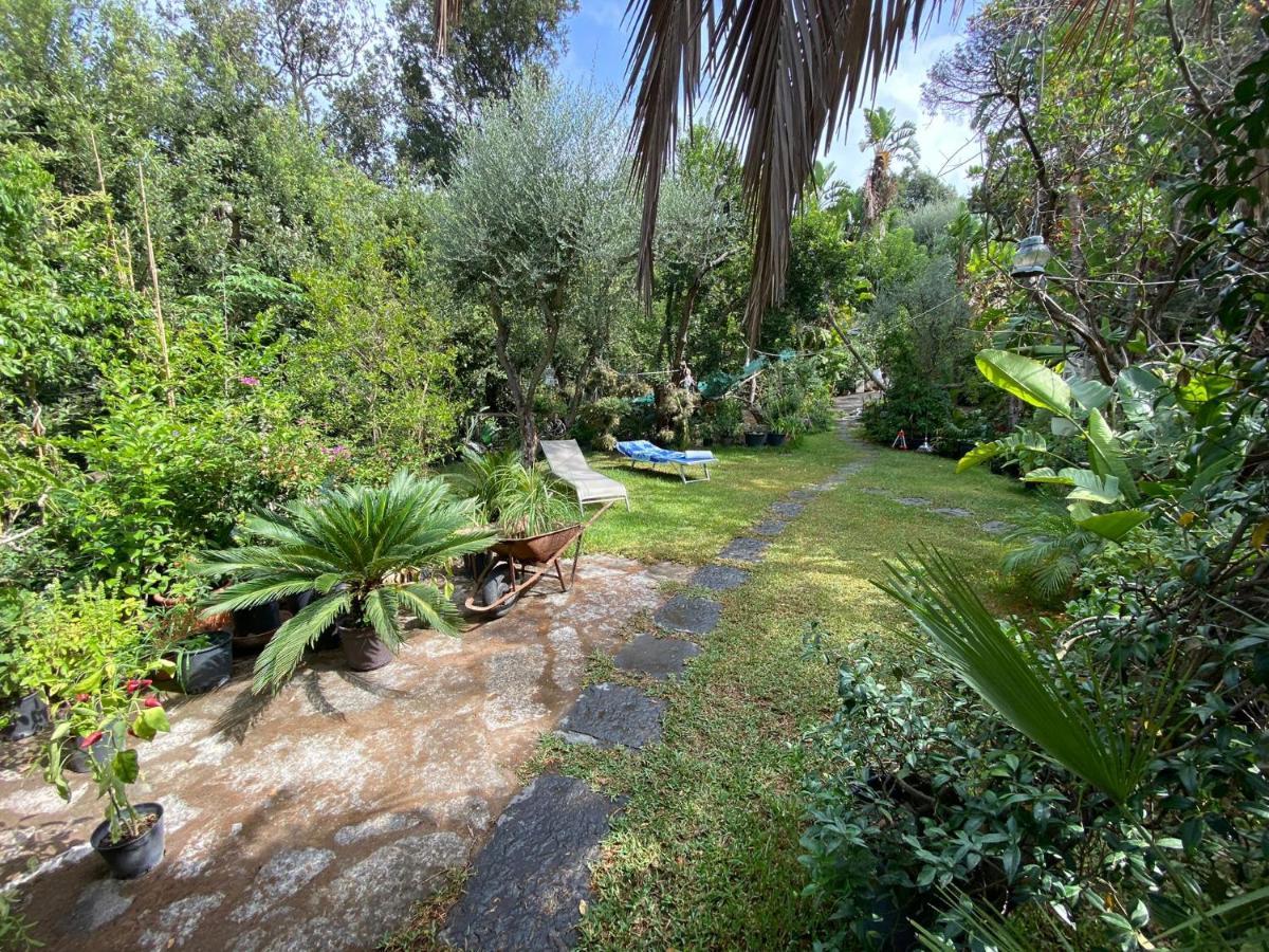 Le Dimore Di Zaro - Green Paradise Forio di Ischia 外观 照片