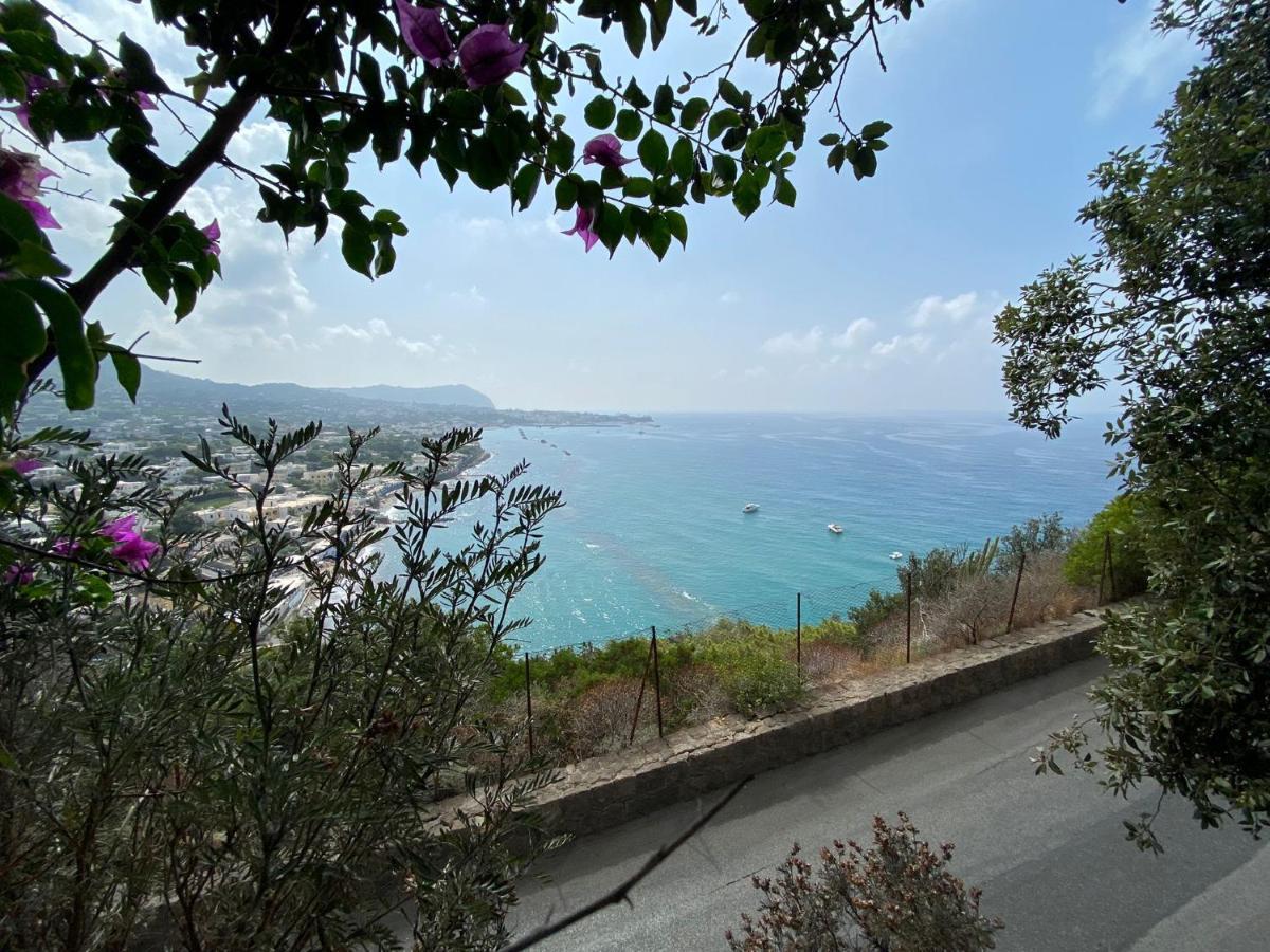 Le Dimore Di Zaro - Green Paradise Forio di Ischia 外观 照片