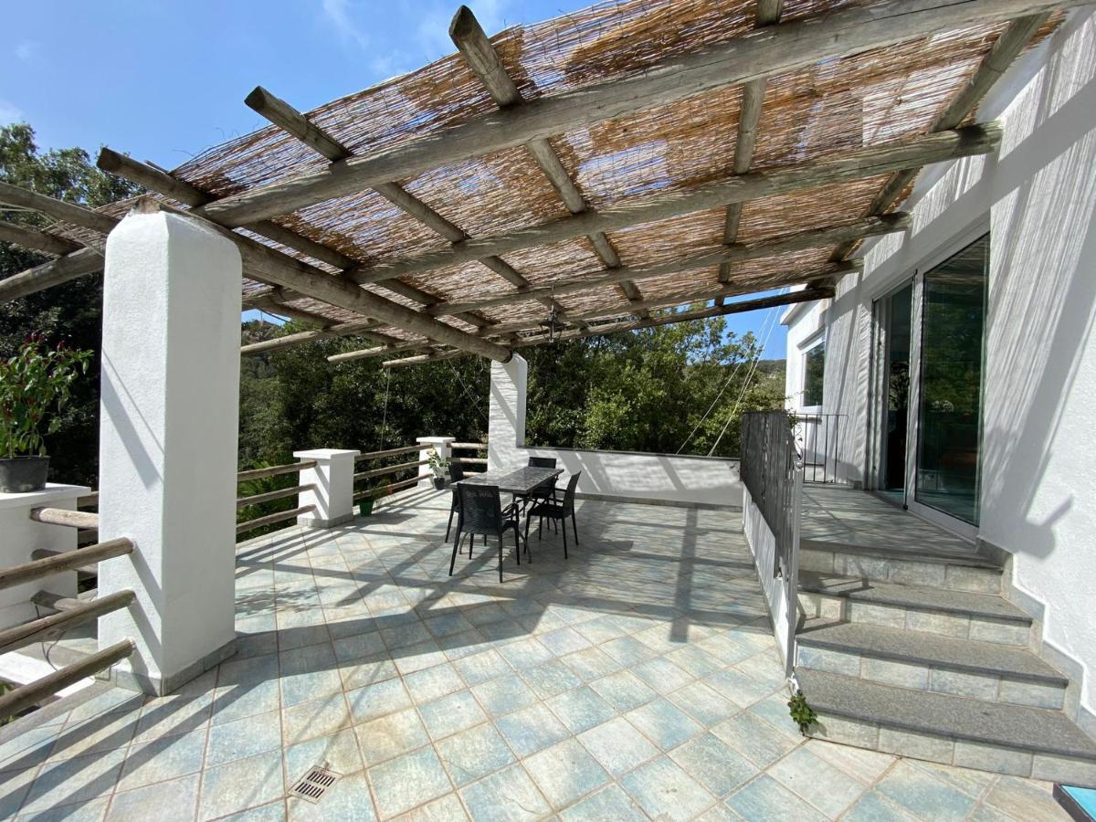 Le Dimore Di Zaro - Green Paradise Forio di Ischia 外观 照片