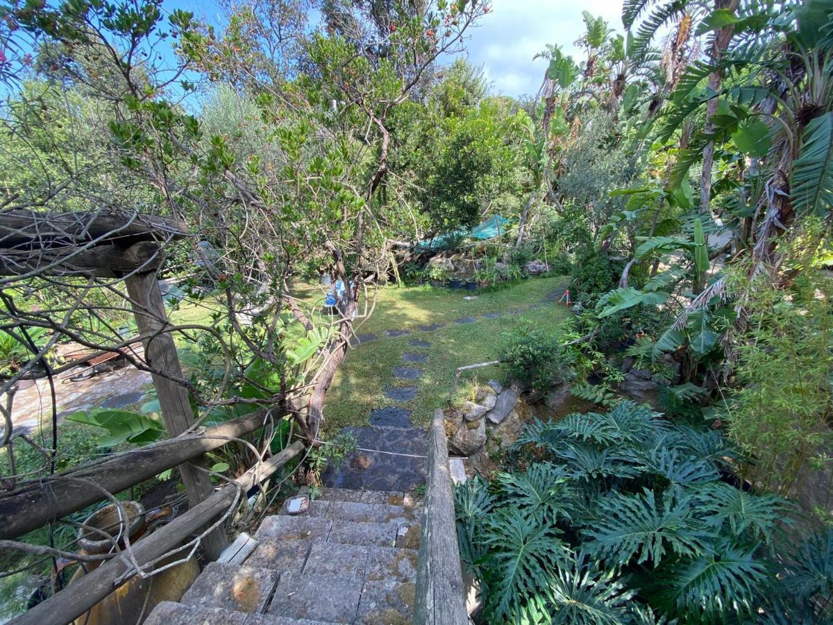Le Dimore Di Zaro - Green Paradise Forio di Ischia 外观 照片