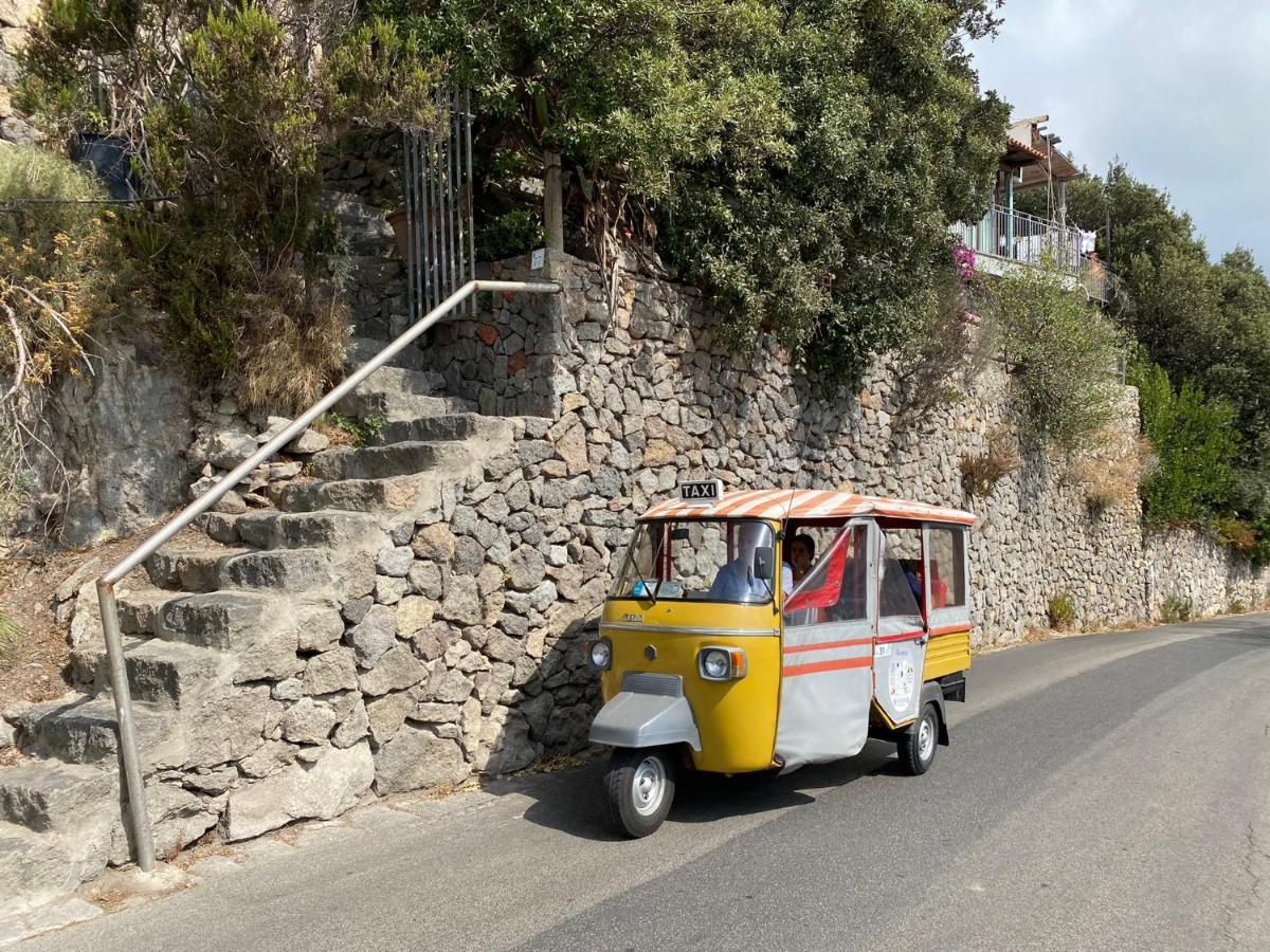 Le Dimore Di Zaro - Green Paradise Forio di Ischia 外观 照片