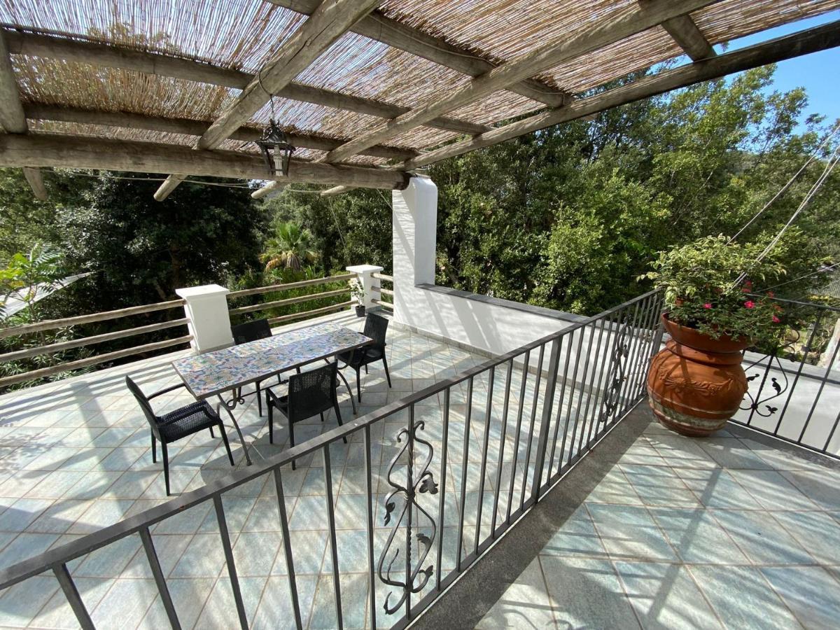 Le Dimore Di Zaro - Green Paradise Forio di Ischia 外观 照片
