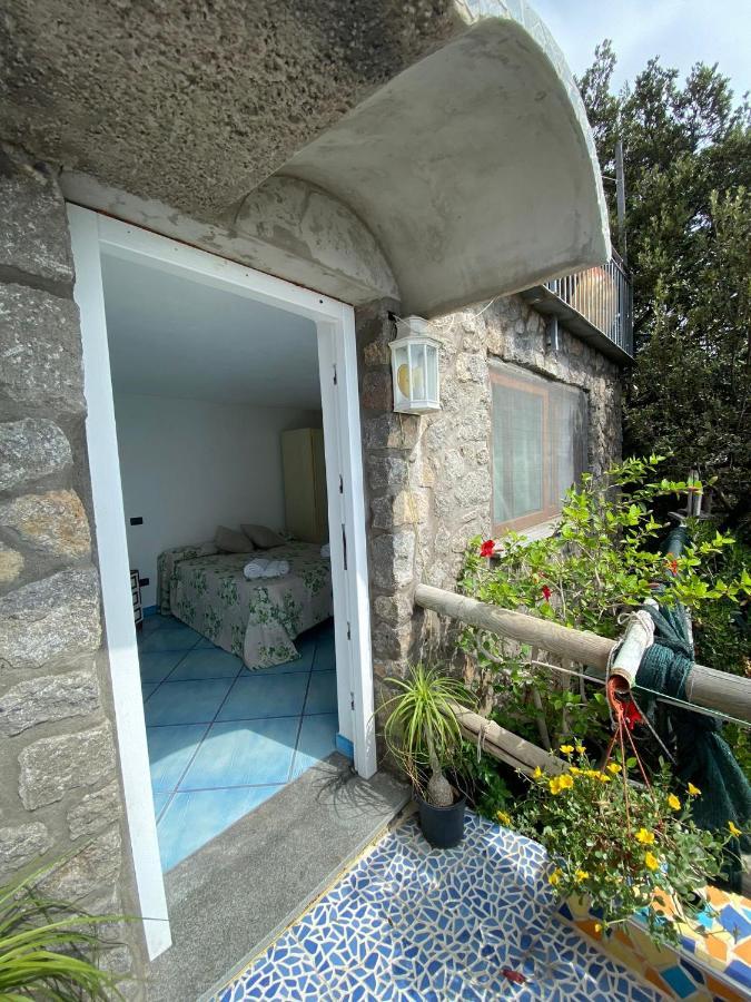Le Dimore Di Zaro - Green Paradise Forio di Ischia 外观 照片