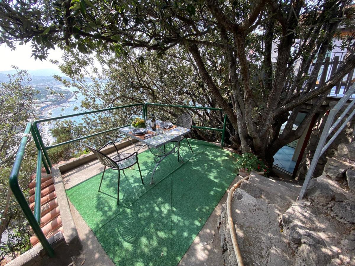 Le Dimore Di Zaro - Green Paradise Forio di Ischia 外观 照片