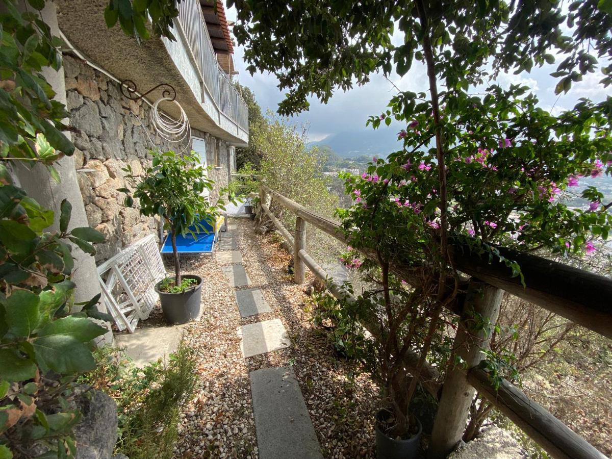 Le Dimore Di Zaro - Green Paradise Forio di Ischia 外观 照片