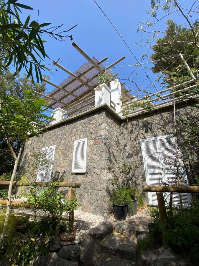 Le Dimore Di Zaro - Green Paradise Forio di Ischia 外观 照片