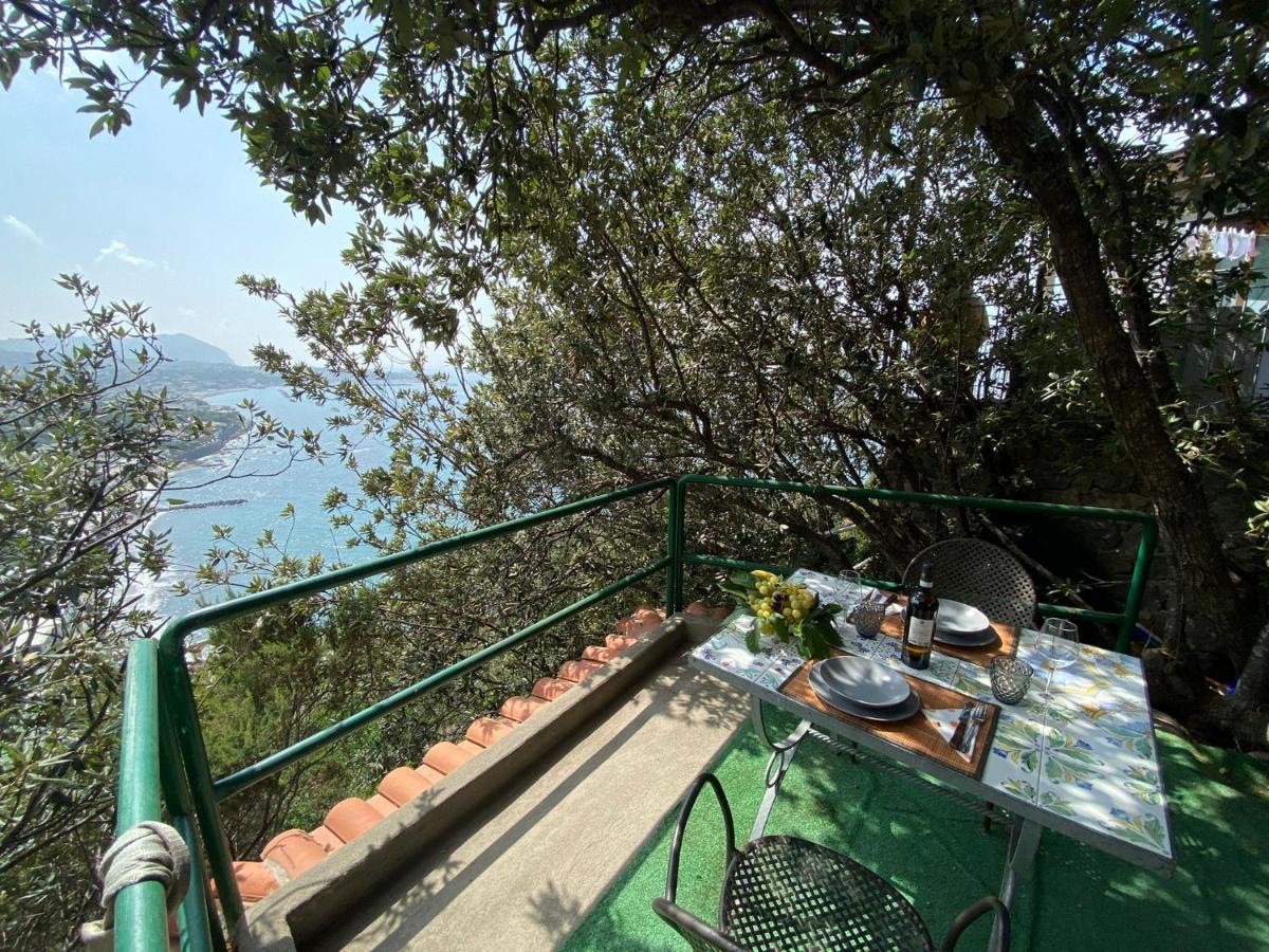 Le Dimore Di Zaro - Green Paradise Forio di Ischia 外观 照片