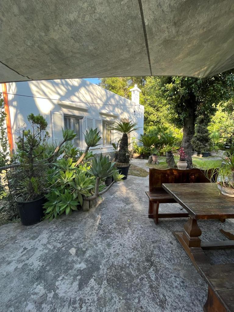 Le Dimore Di Zaro - Green Paradise Forio di Ischia 外观 照片