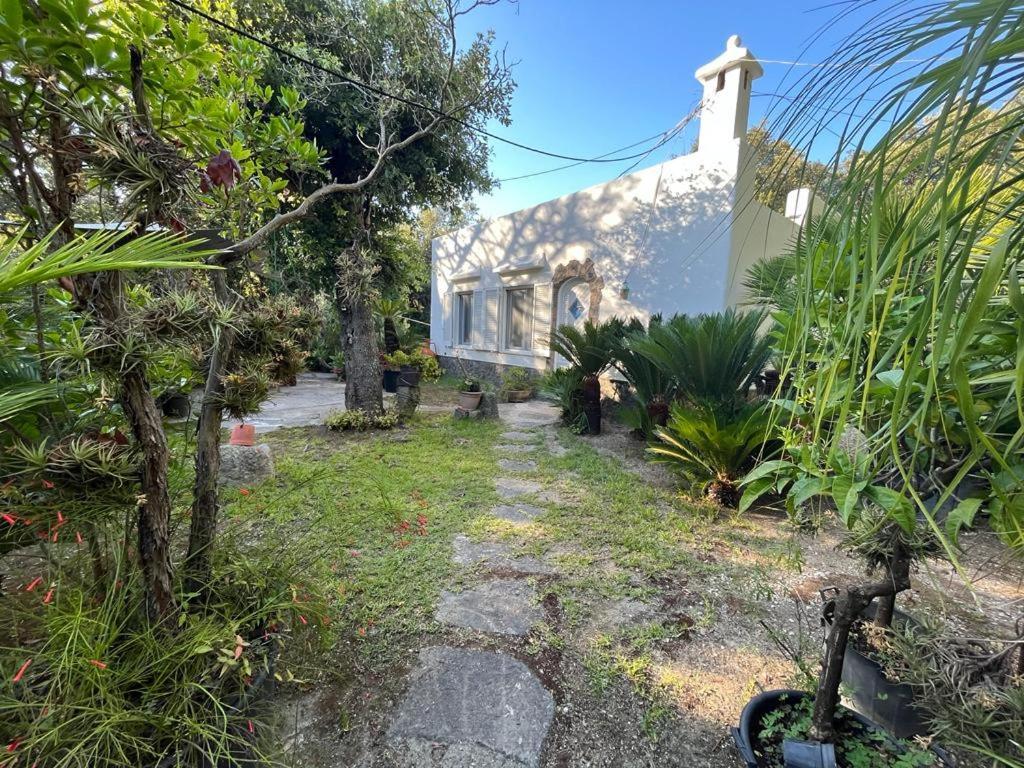 Le Dimore Di Zaro - Green Paradise Forio di Ischia 外观 照片