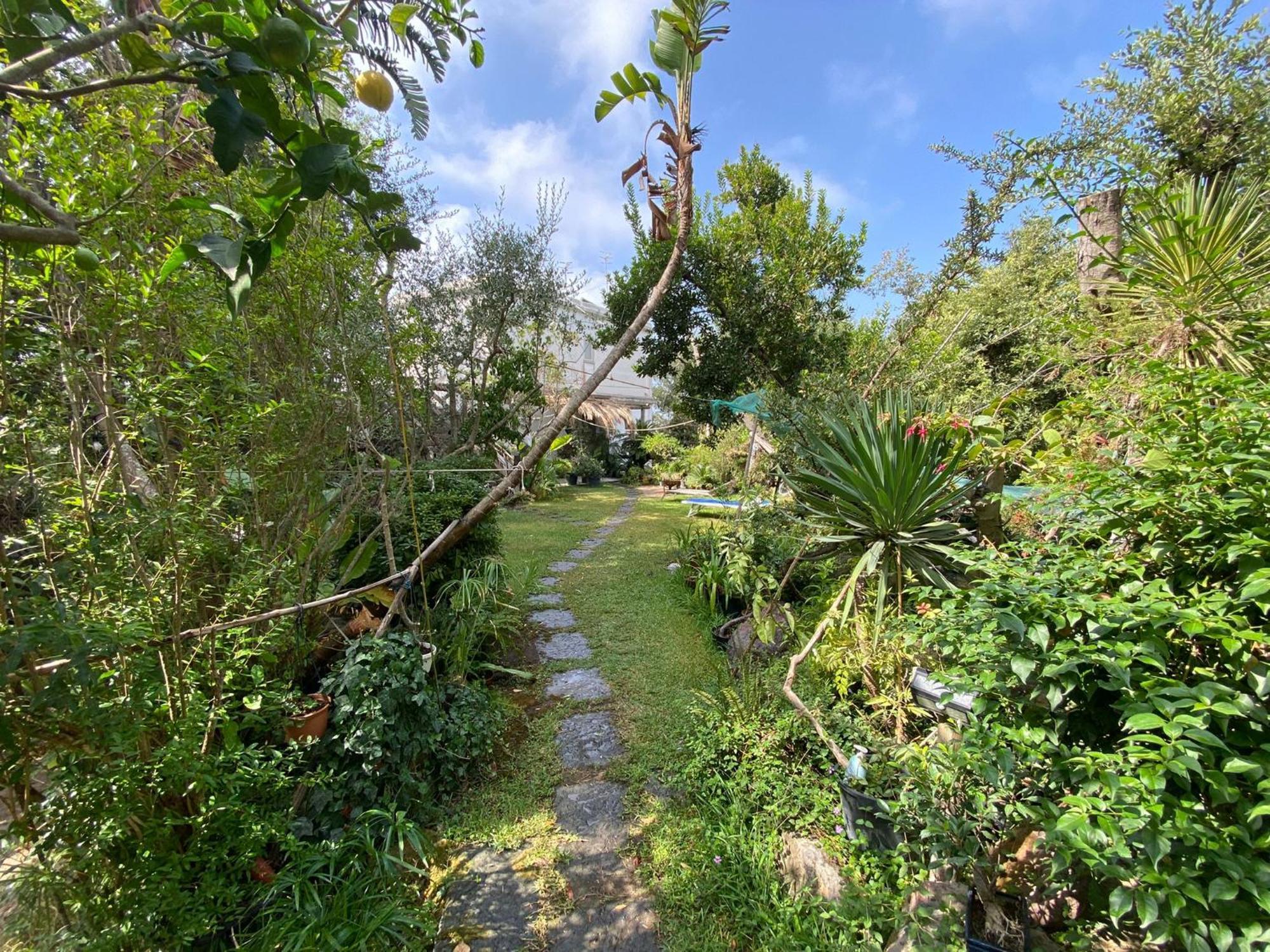 Le Dimore Di Zaro - Green Paradise Forio di Ischia 客房 照片