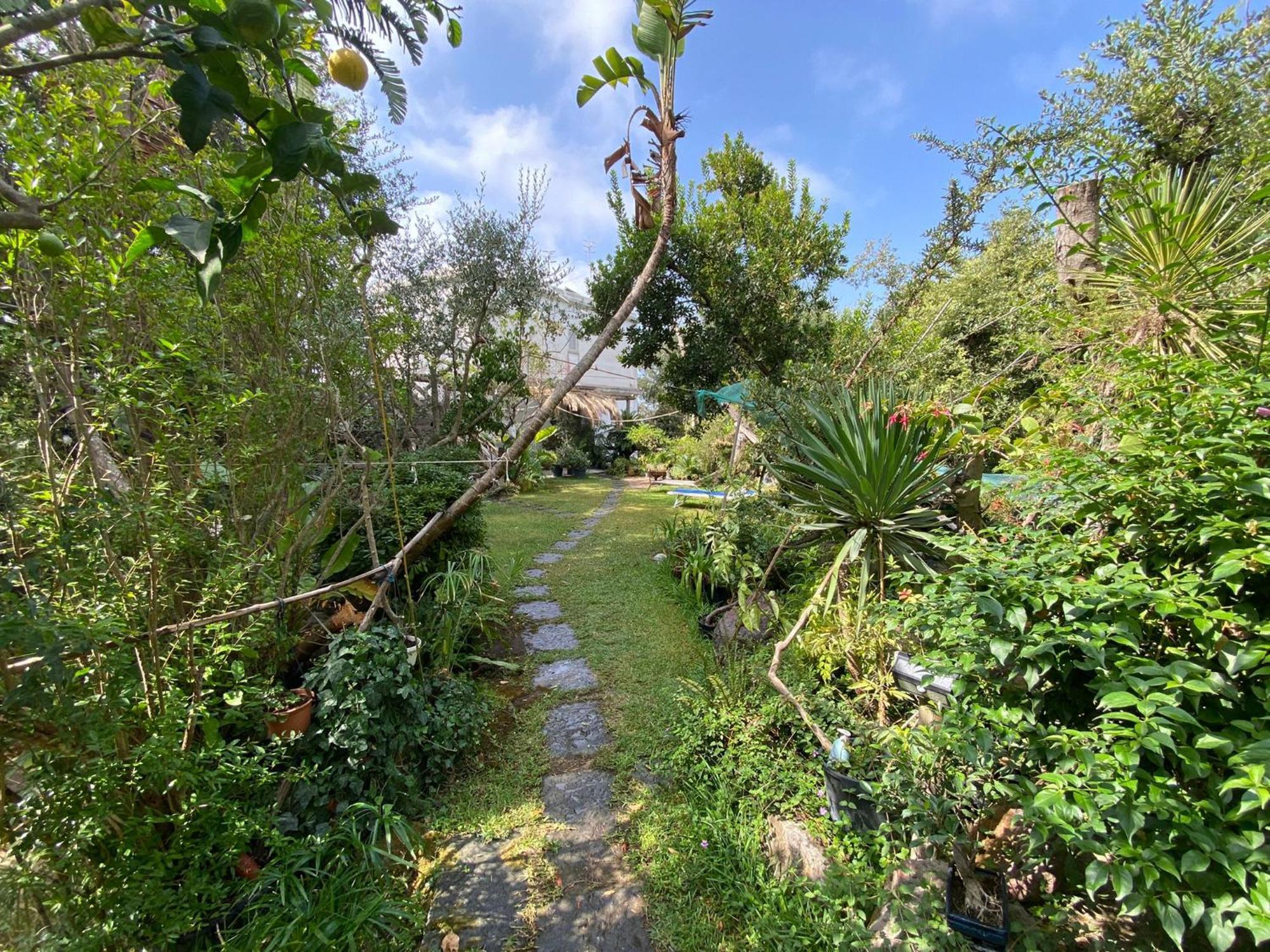 Le Dimore Di Zaro - Green Paradise Forio di Ischia 客房 照片