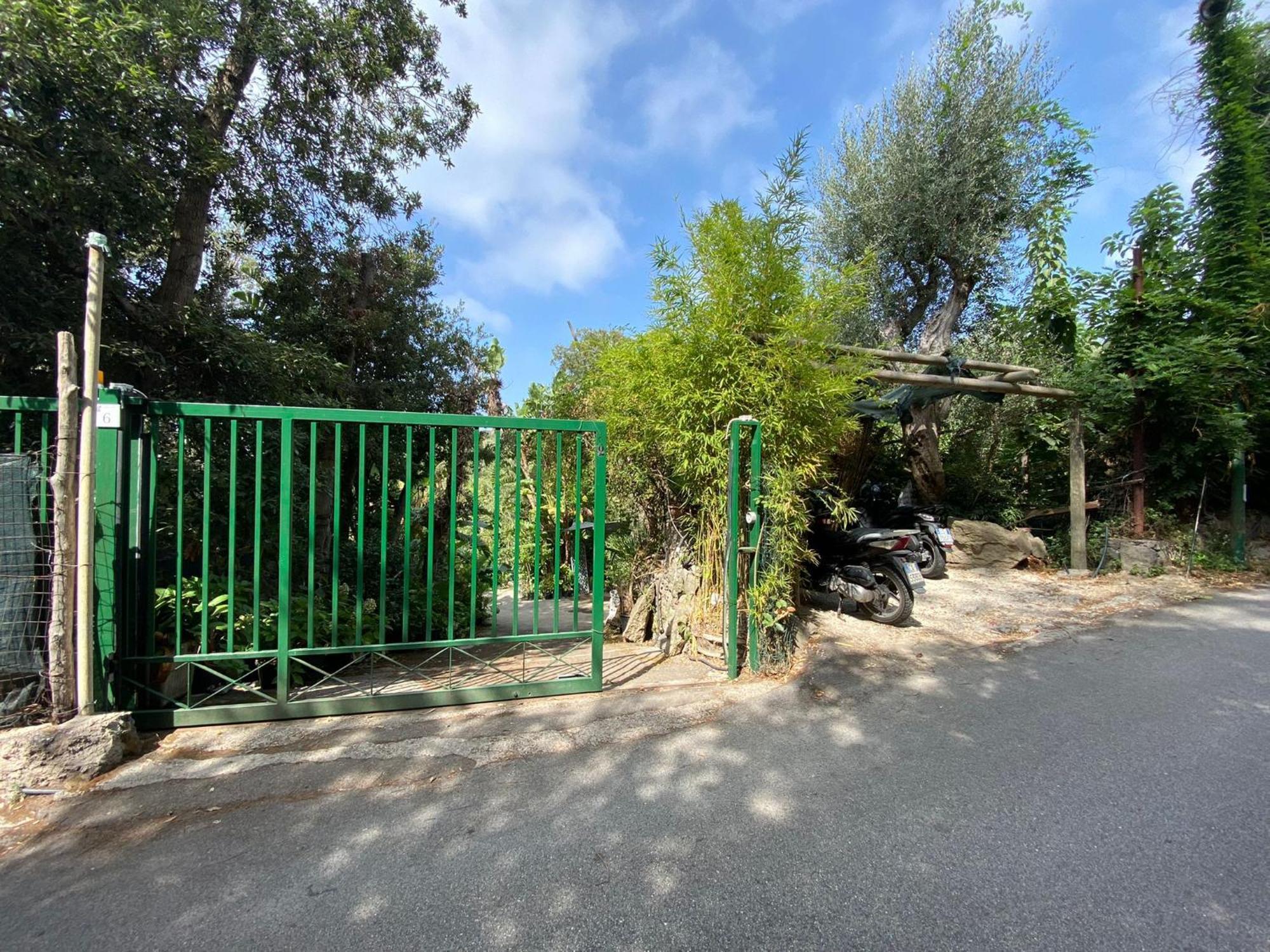Le Dimore Di Zaro - Green Paradise Forio di Ischia 客房 照片