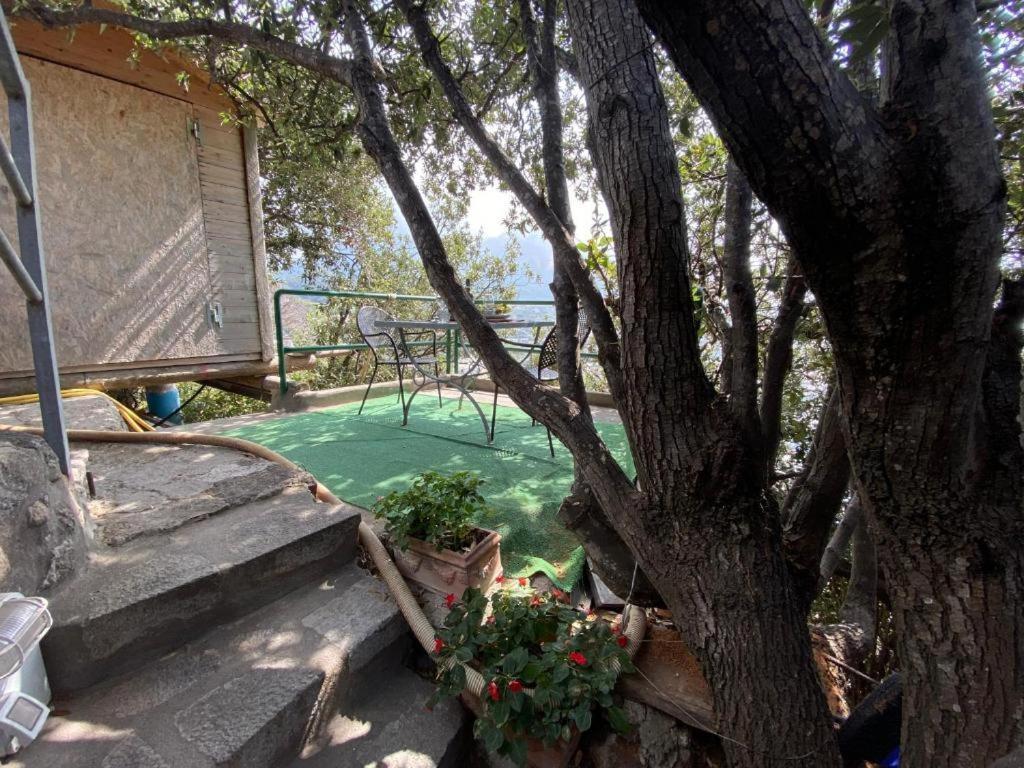 Le Dimore Di Zaro - Green Paradise Forio di Ischia 外观 照片