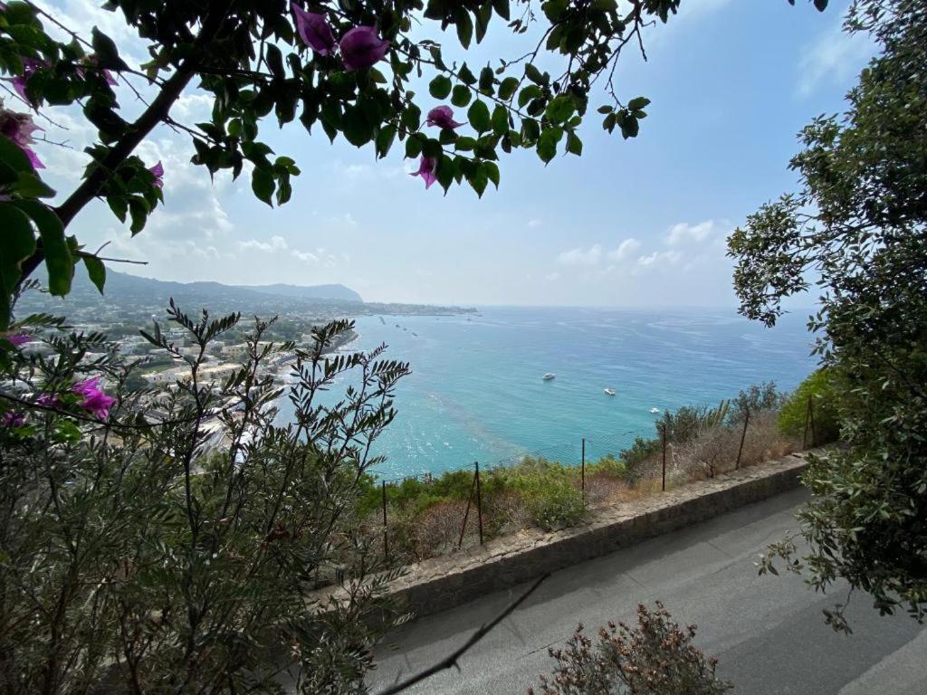 Le Dimore Di Zaro - Green Paradise Forio di Ischia 外观 照片